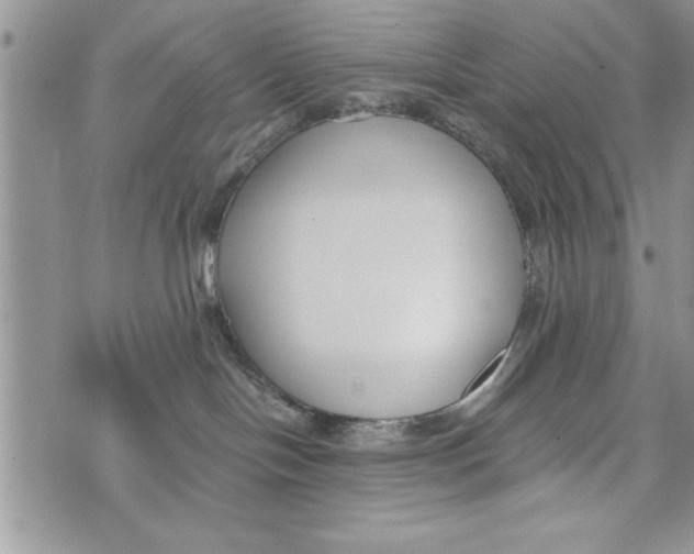 X0000073900094200609082158