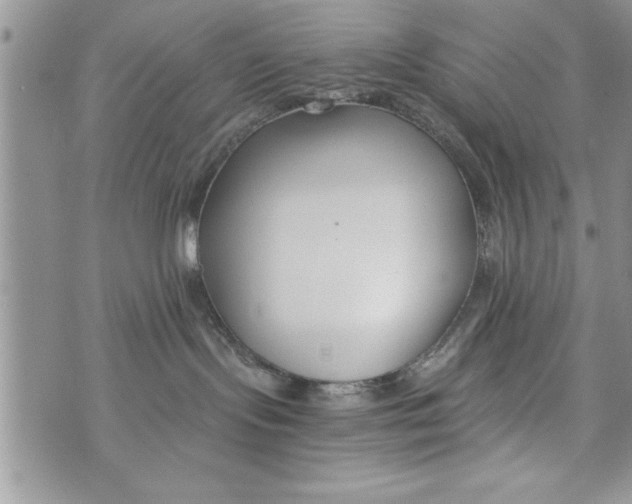 X0000073900095200609082158