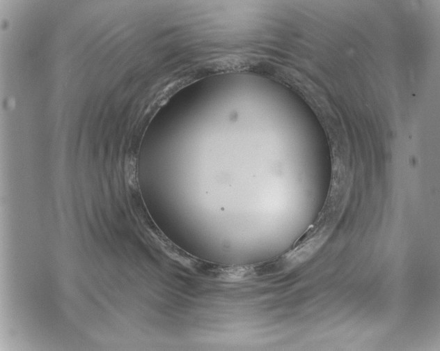 X0000073900096200609082158