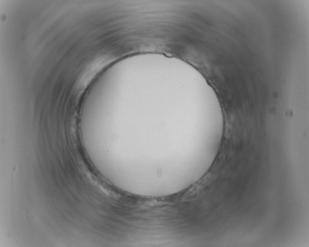 X0000073900098200609082158