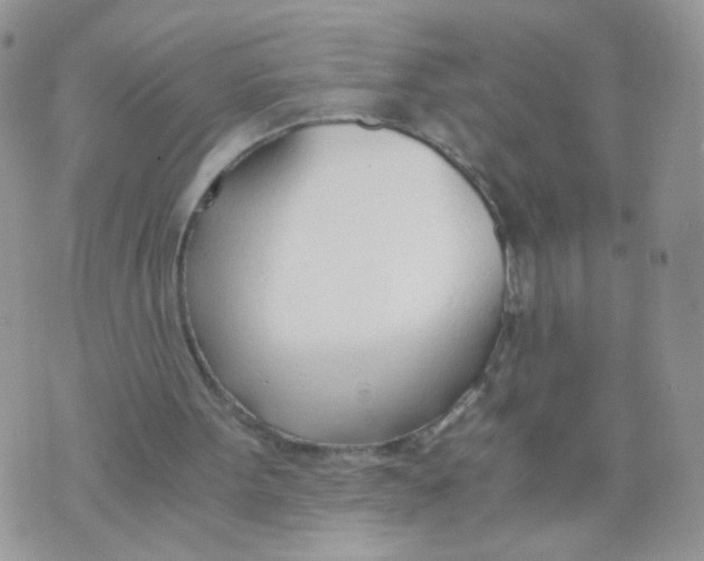 X0000073900099200609082158