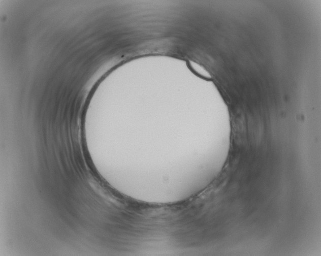 X0000073900100200609082158