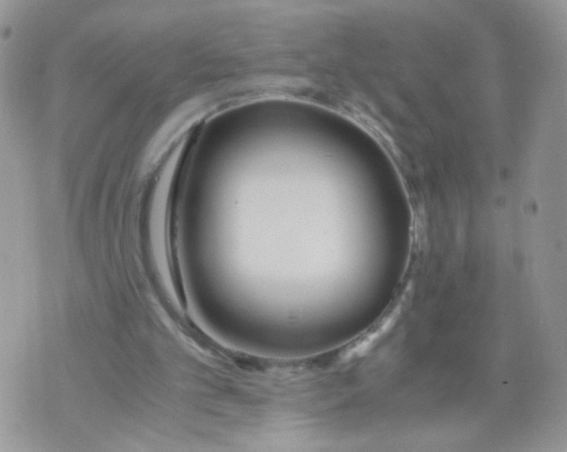 X0000073900101200609082158