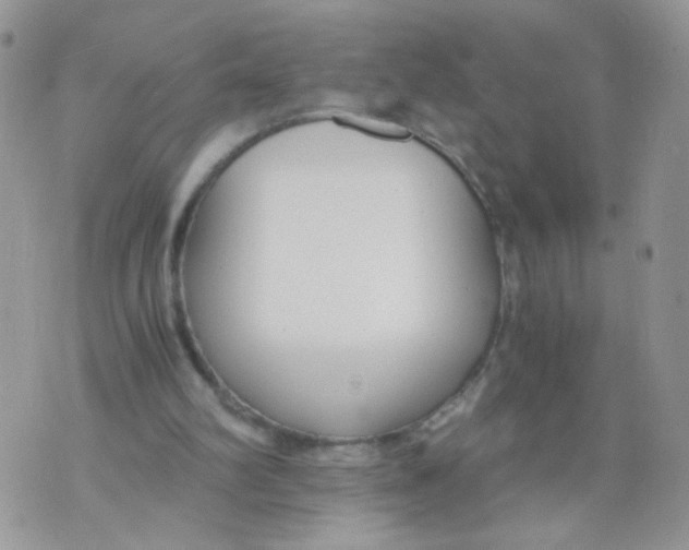 X0000073900102200609082158