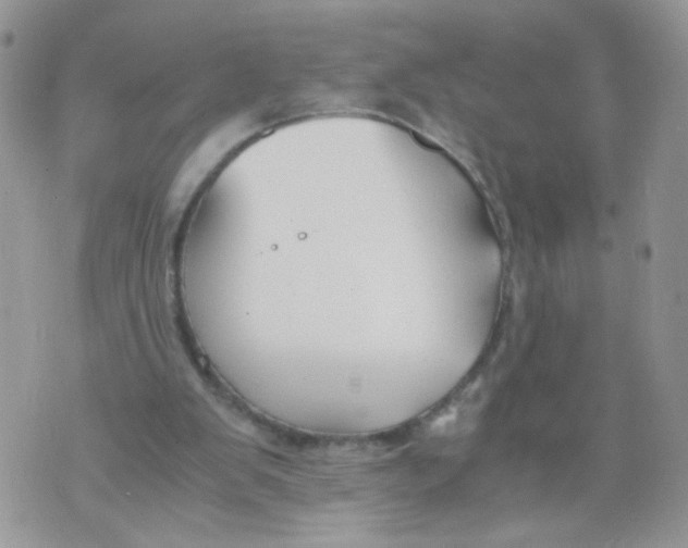 X0000073900103200609082158