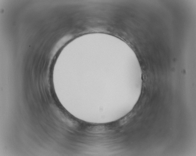 X0000073900104200609082158