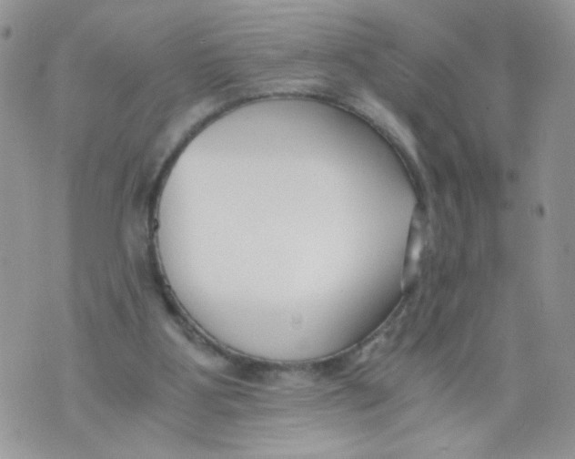 X0000073900107200609082157