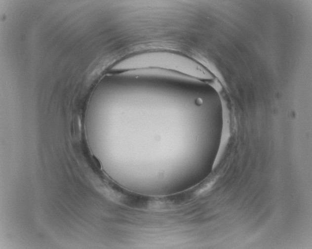 X0000073900109200609082157