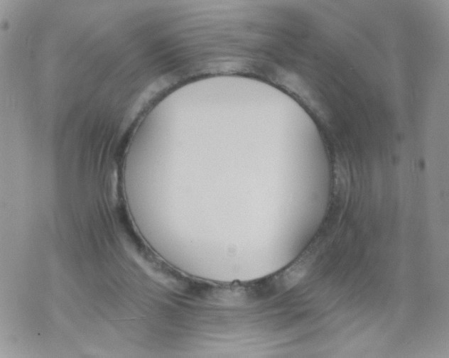 X0000073900110200609082157