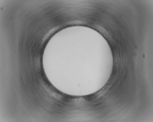 X0000073900112200609082157