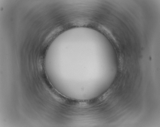 X0000073900114200609082157