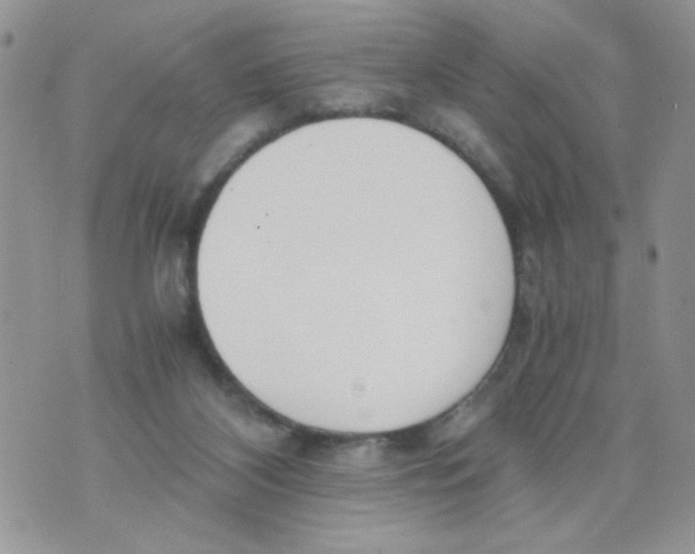 X0000073900116200609082157