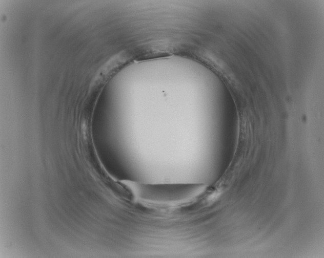 X0000073900117200609082157