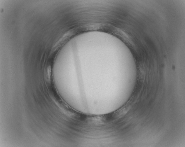 X0000073900118200609082157