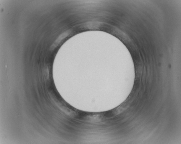 X0000073900120200609082157