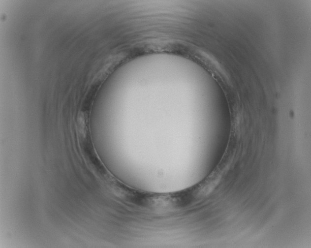 X0000073900121200609082157