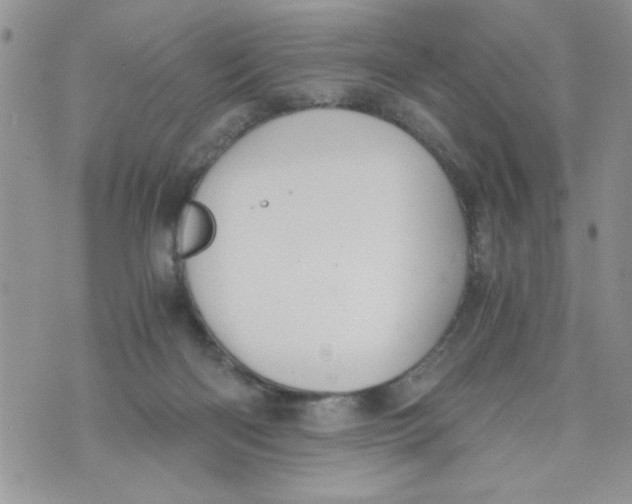 X0000073900122200609082157