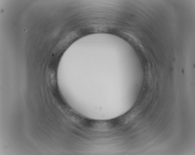 X0000073900123200609082157