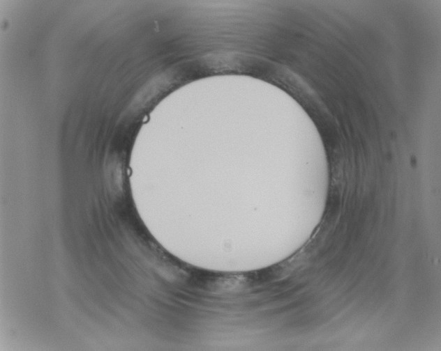 X0000073900124200609082157