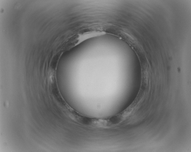 X0000073900125200609082157