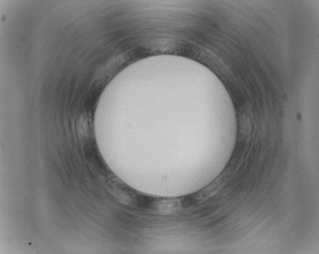 X0000073900126200609082157