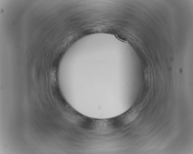 X0000073900127200609082157