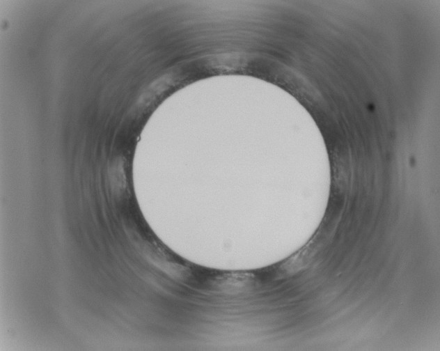 X0000073900128200609082157