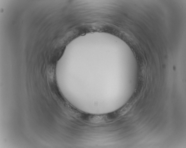 X0000073900129200609082157