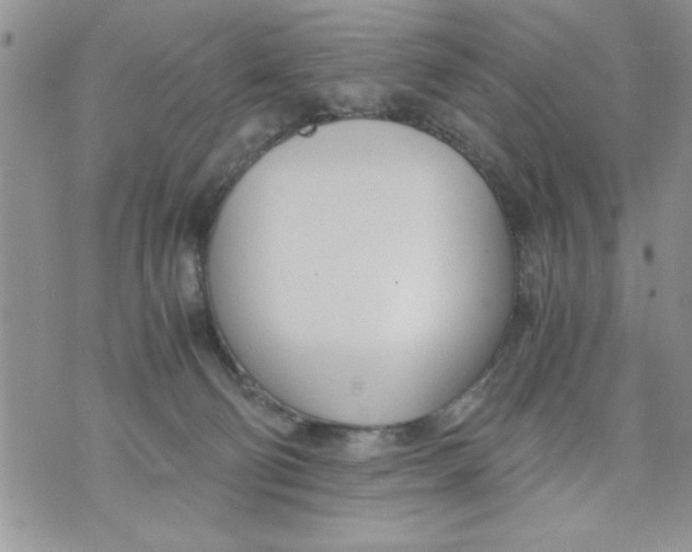 X0000073900130200609082157