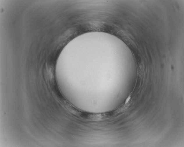 X0000073900131200609082157