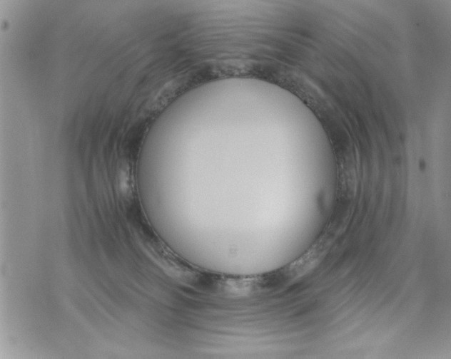 X0000073900134200609082157