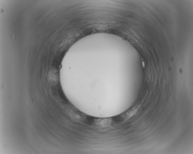 X0000073900135200609082157