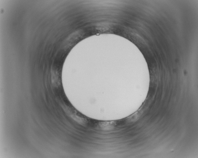 X0000073900136200609082157