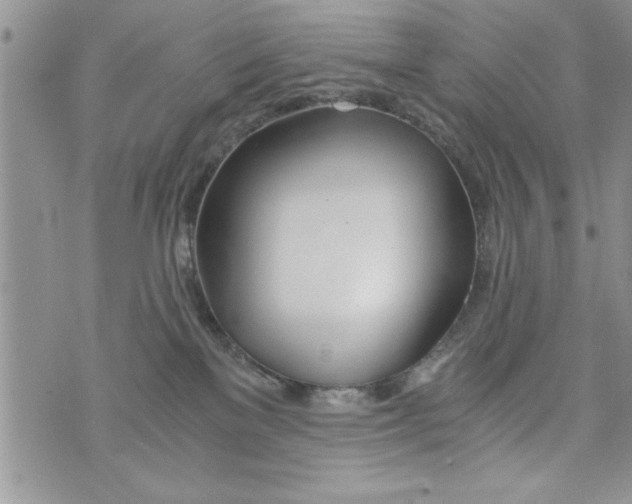 X0000073900137200609082157