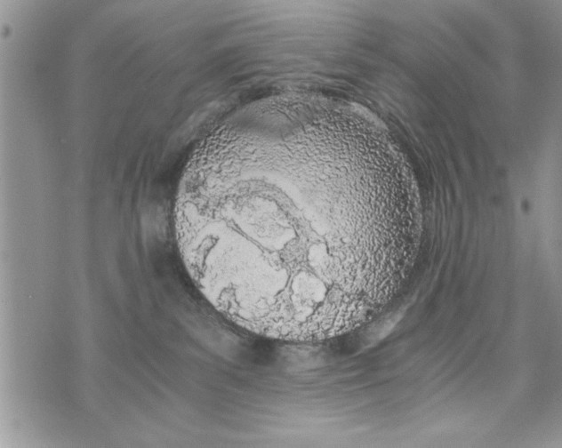 X0000073900139200609082157