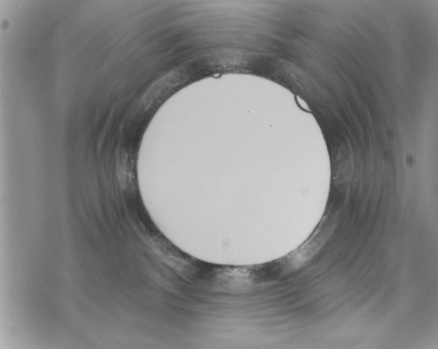 X0000073900140200609082157