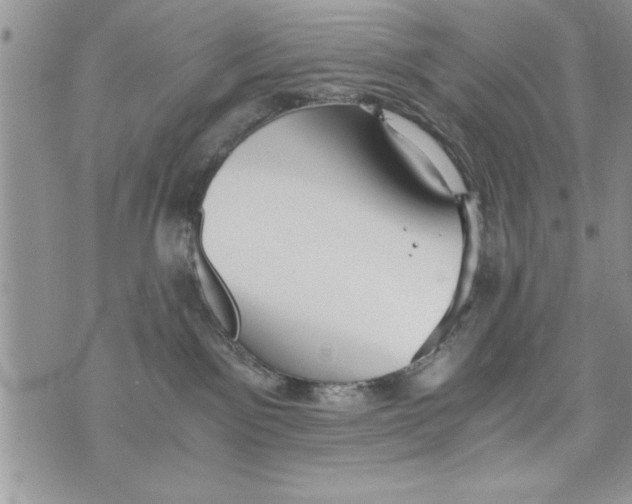 X0000073900141200609082157