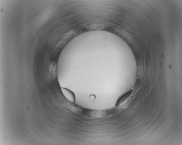 X0000073900142200609082157