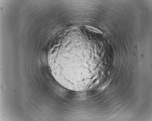 X0000073900143200609082157