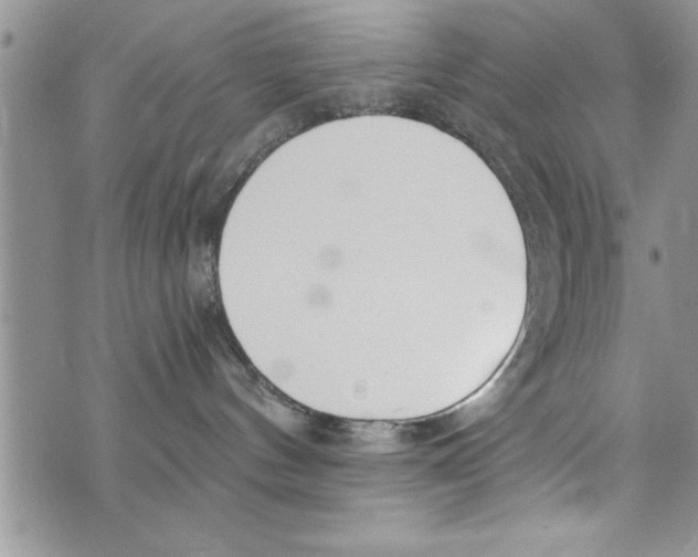 X0000073900144200609082157