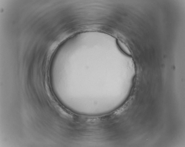 X0000073900145200609082156