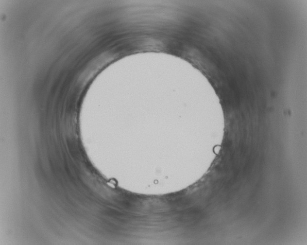 X0000073900146200609082156