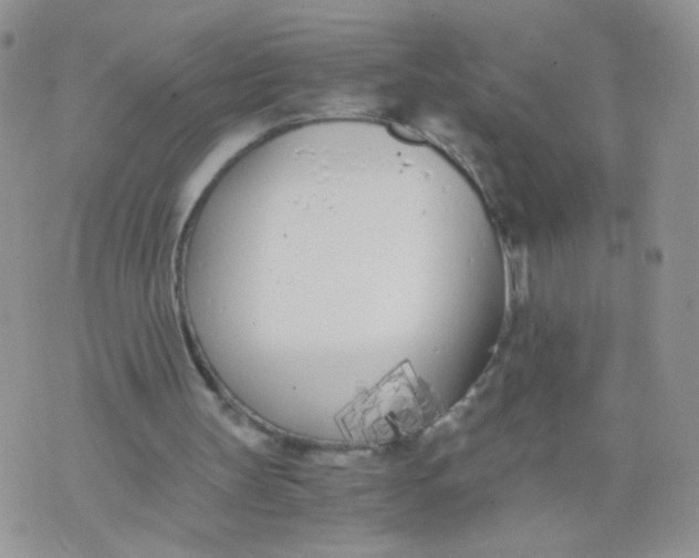 X0000073900147200609082156