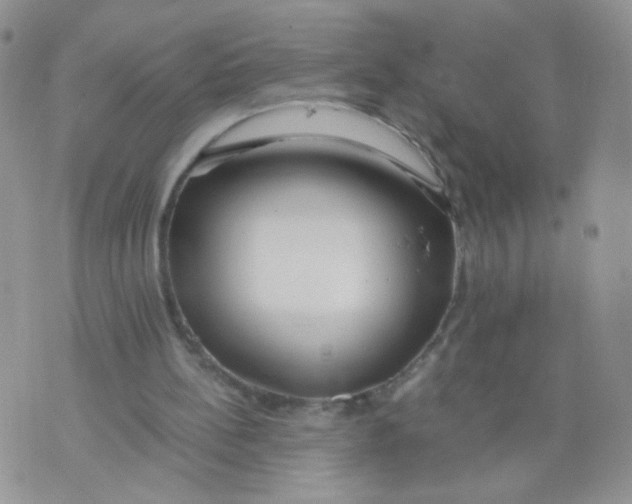 X0000073900148200609082156