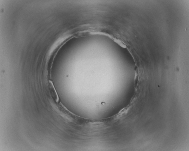 X0000073900150200609082156