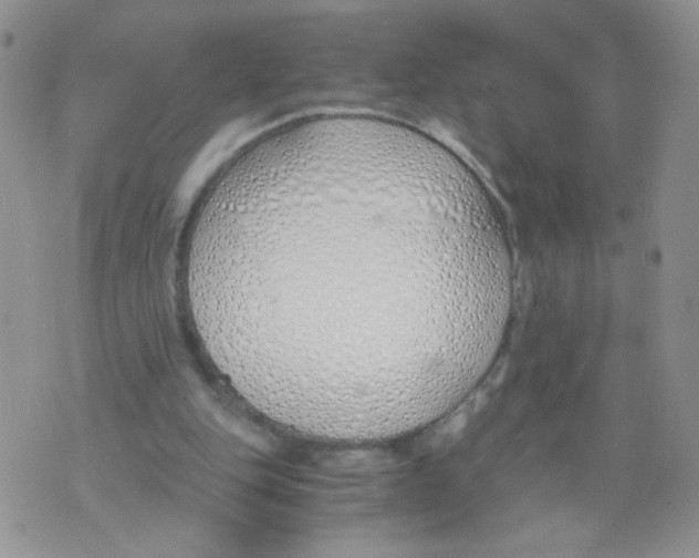 X0000073900151200609082156