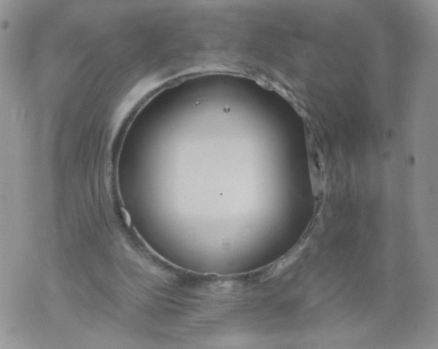 X0000073900152200609082156