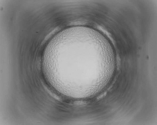 X0000073900153200609082156