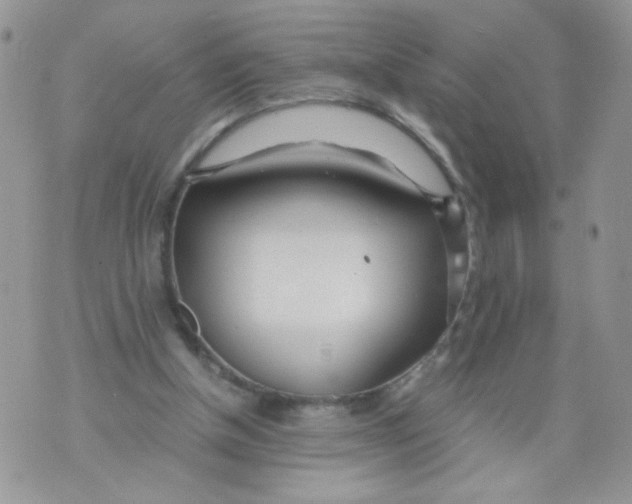 X0000073900154200609082156