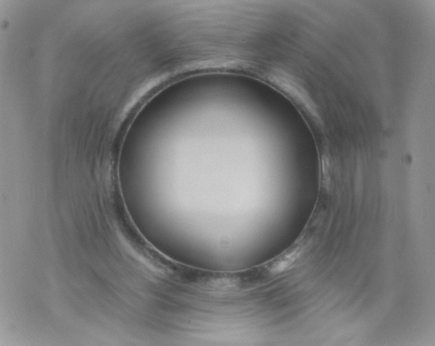 X0000073900156200609082156